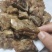 牛软骨切段，带肉带软骨，食堂，自助餐产品，牛骨锅爆品