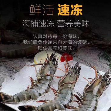 海水虾/活冻/超红/超鲜/斑节虾/金刚虾/黑虎虾