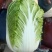 湖北白菜玲珑黄大吨位供应保质保量诚信发货