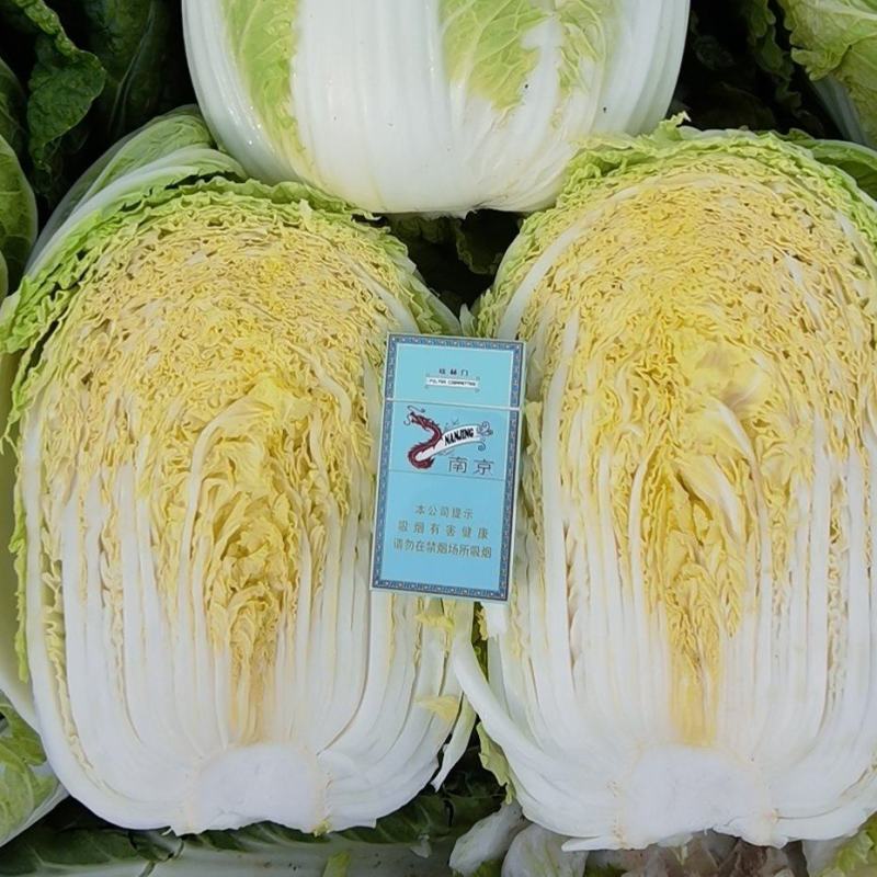 湖北白菜玲珑黄大吨位供应保质保量诚信发货