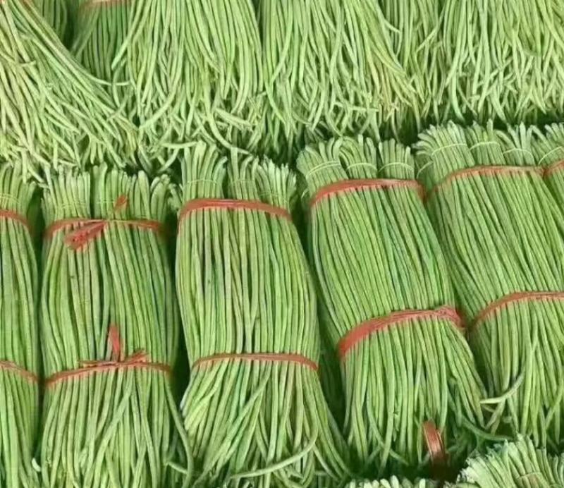 豆角，长豆角，产地直发，现摘现发，质量保证，欢迎采购