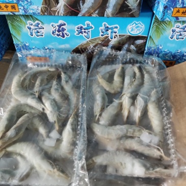 国产十板虾