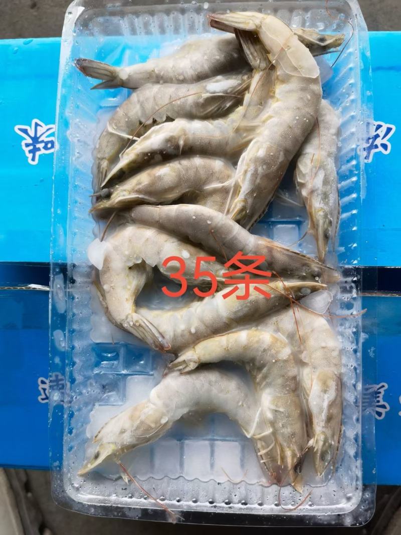 国产十板虾