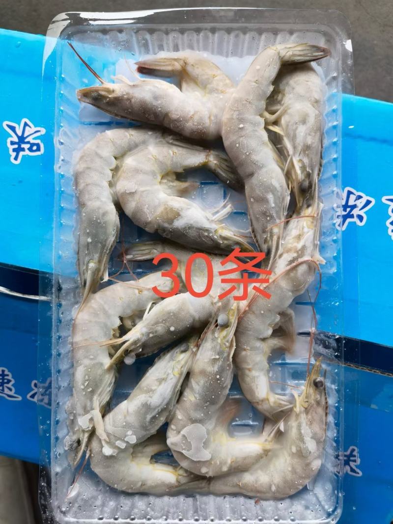 国产十板虾