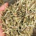 淮阳花生秧品质好质量有保证欢迎各位老板前来选购