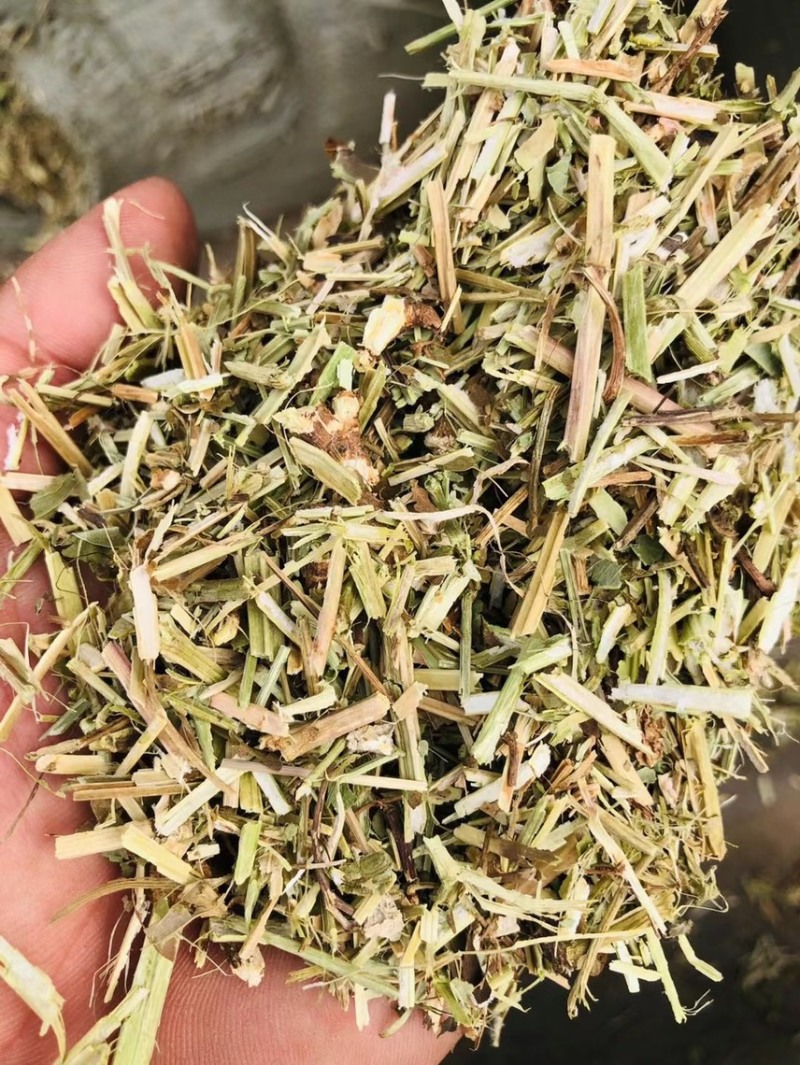 淮阳花生秧品质好质量有保证欢迎各位老板前来选购