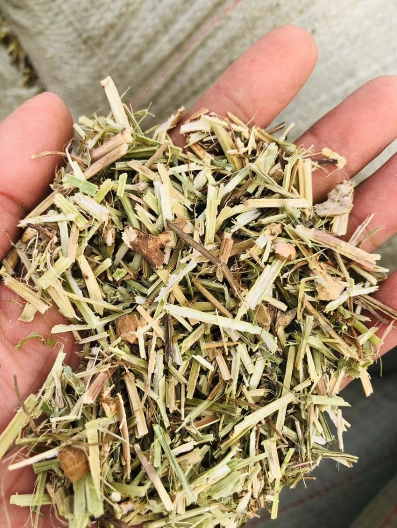 淮阳花生秧品质好质量有保证欢迎各位老板前来选购