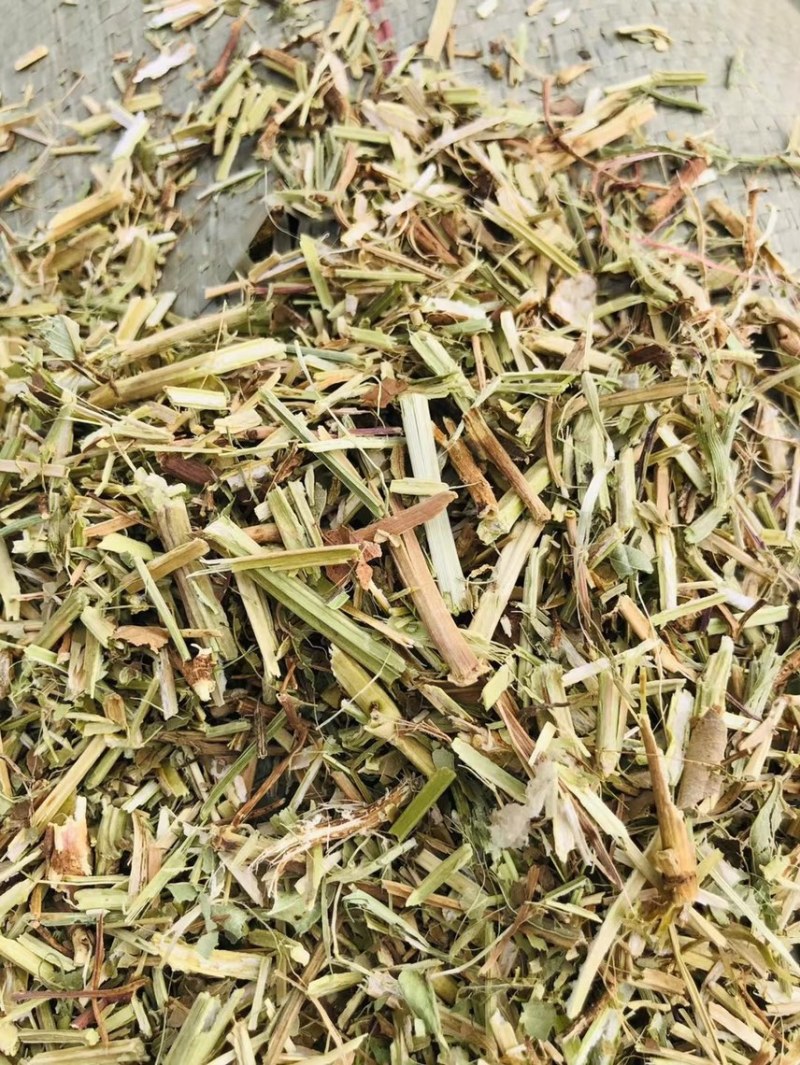 淮阳花生秧品质好质量有保证欢迎各位老板前来选购