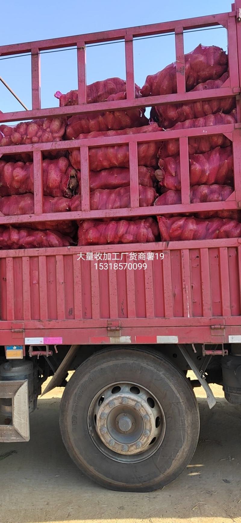商品薯，加工厂，市场