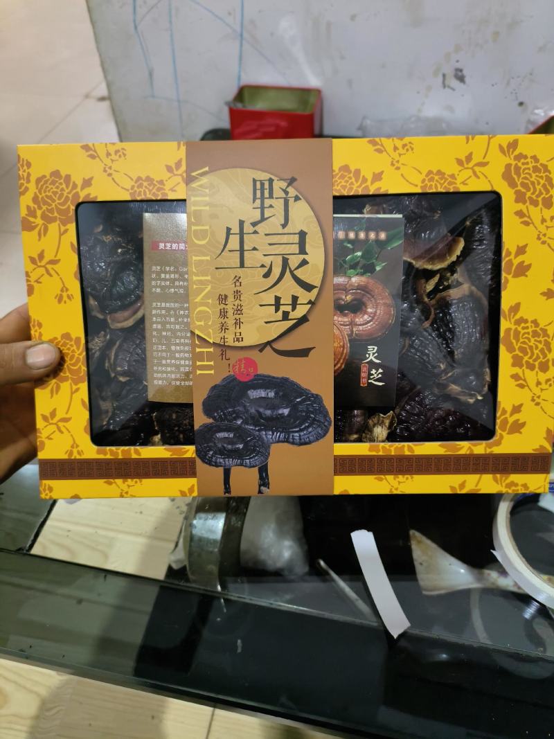 小黑竹灵芝金边灵芝不苦菌香味浓郁新货上市量大优惠
