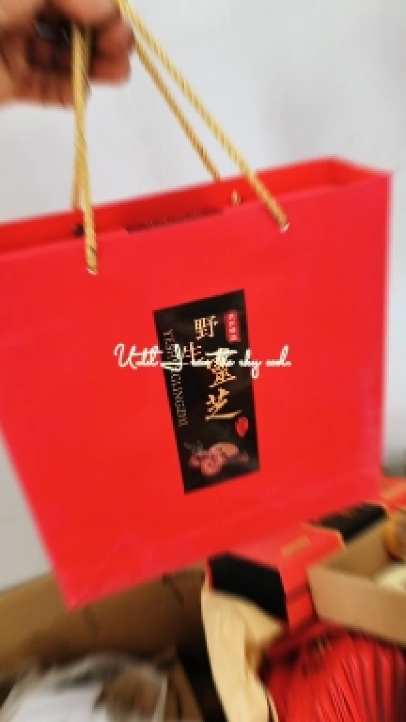 小黑竹灵芝金边灵芝不苦菌香味浓郁新货上市量大优惠