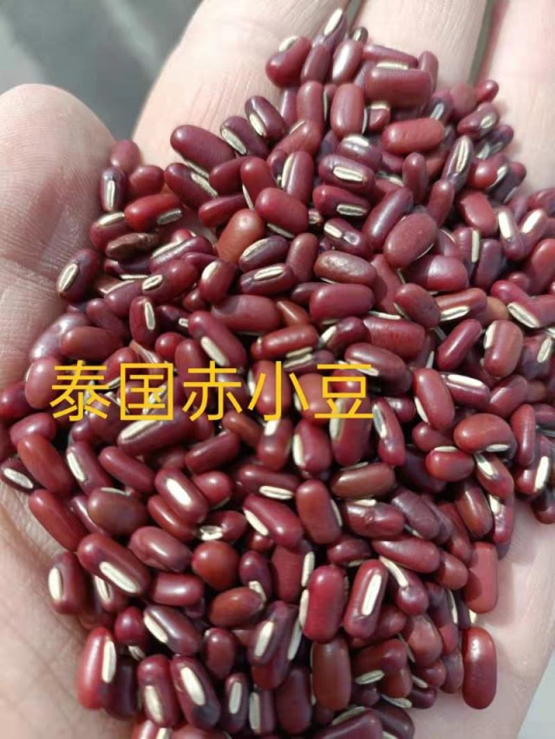 【赤小豆】规格齐全烘焙食品加工现货供应电联优惠