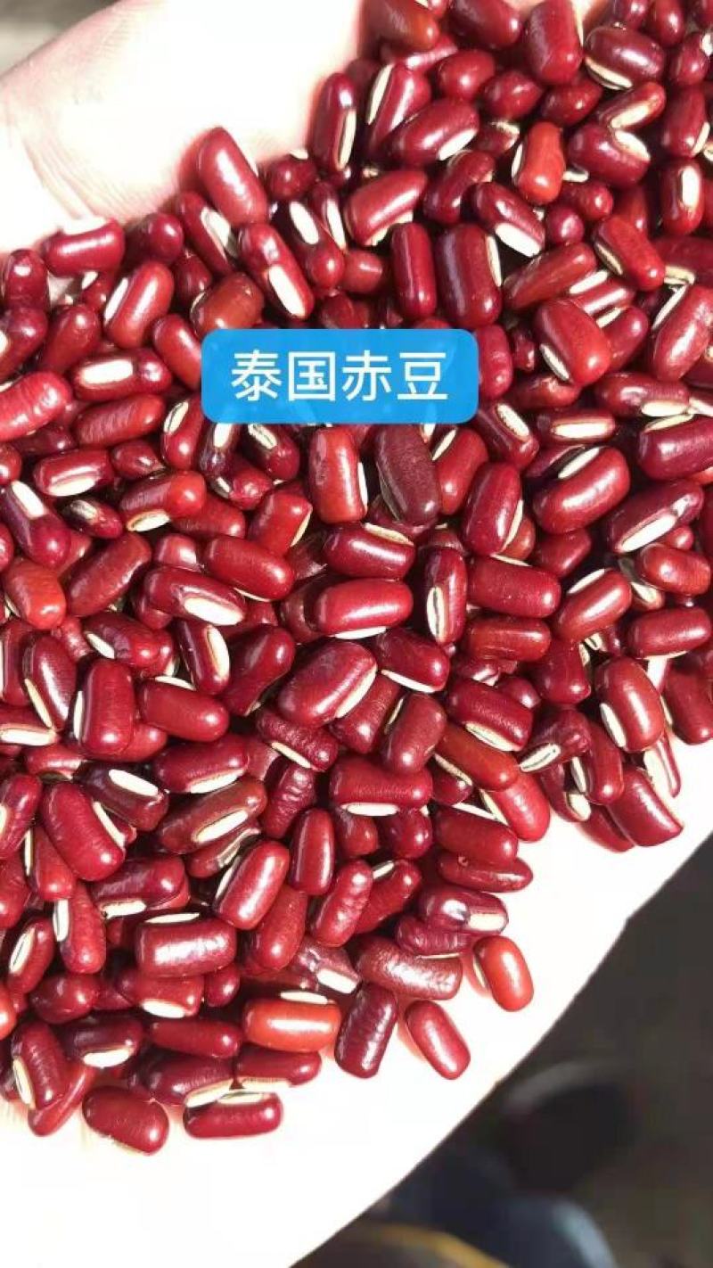 【赤小豆】规格齐全烘焙食品加工现货供应电联优惠