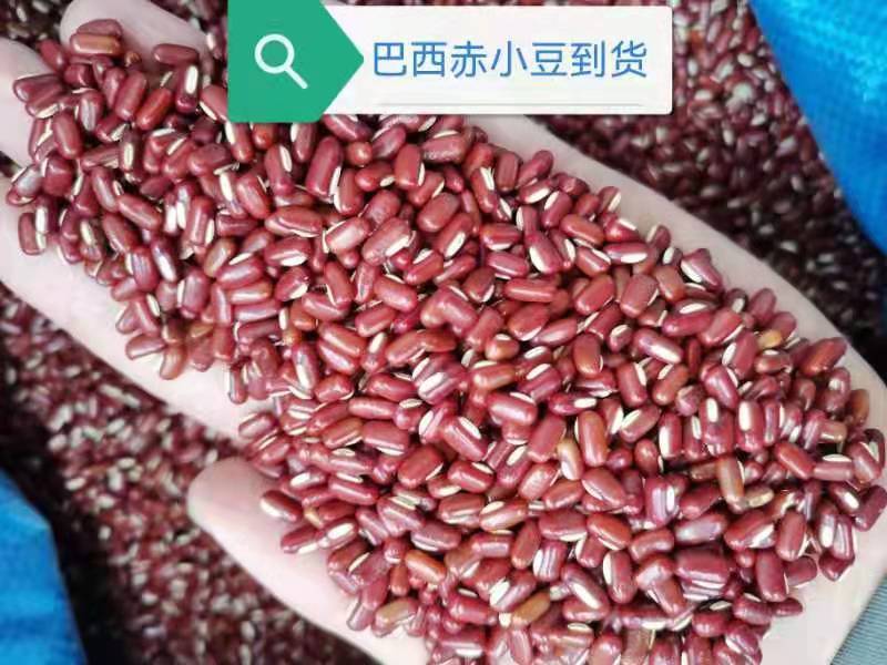 【赤小豆】规格齐全烘焙食品加工现货供应电联优惠