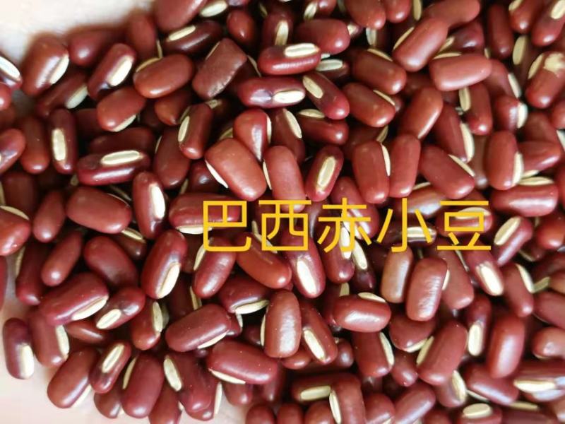 【赤小豆】规格齐全烘焙食品加工现货供应电联优惠