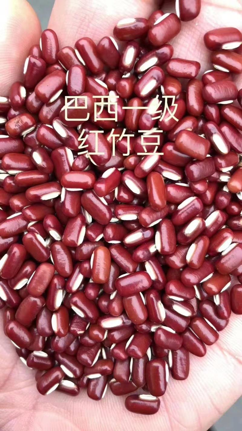 【赤小豆】规格齐全烘焙食品加工现货供应电联优惠