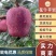 甘肃天水花牛苹果大量上市产地代收代发！！！！！！！