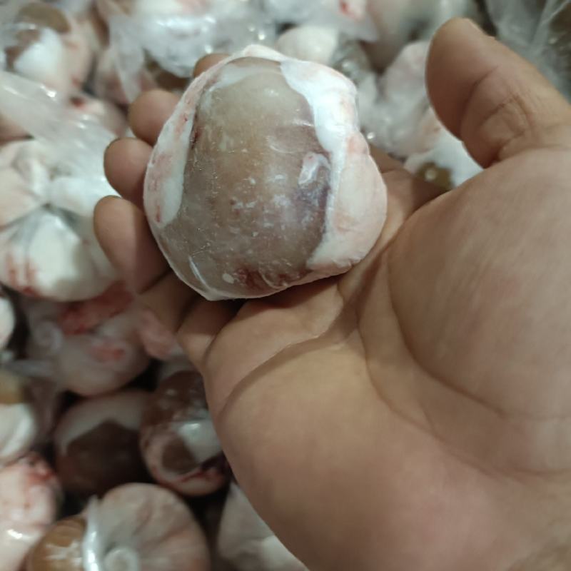 原油羊腰厂家批发量大优惠，有需要的欢迎随时咨询。