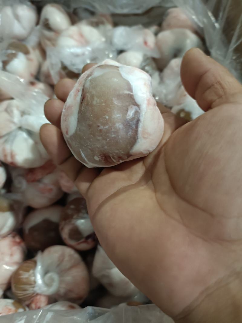 原油羊腰厂家批发量大优惠，有需要的欢迎随时咨询。