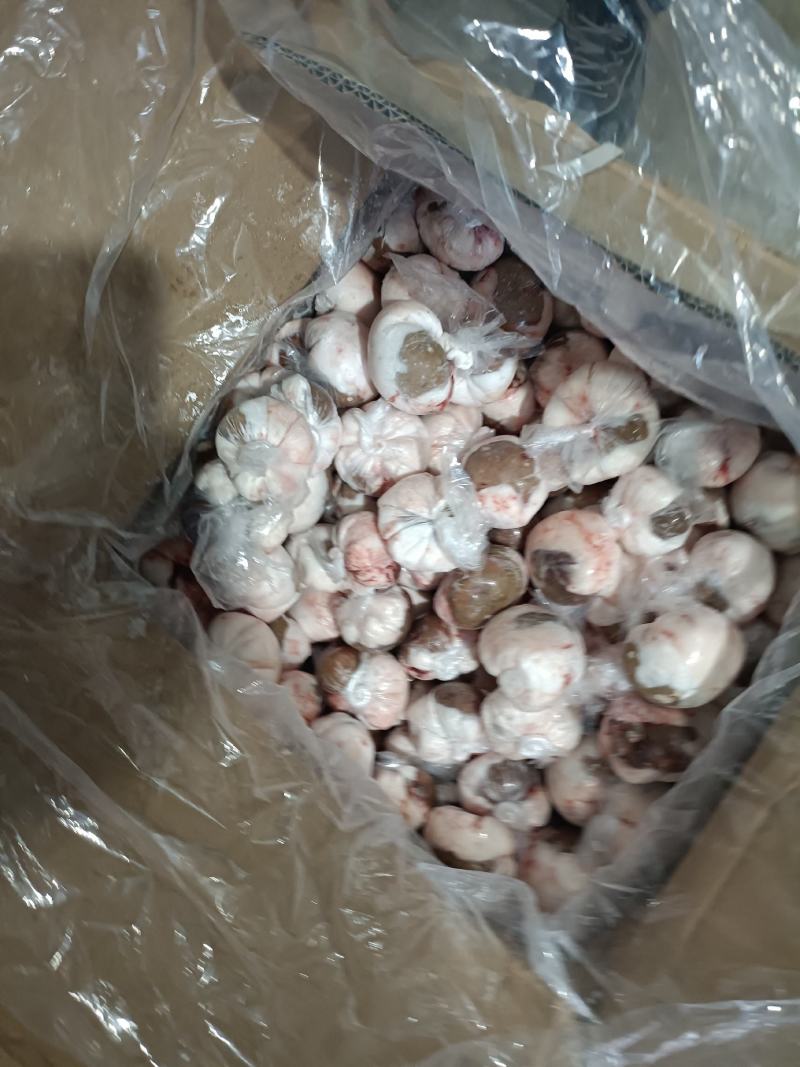 原油羊腰厂家批发量大优惠，有需要的欢迎随时咨询。