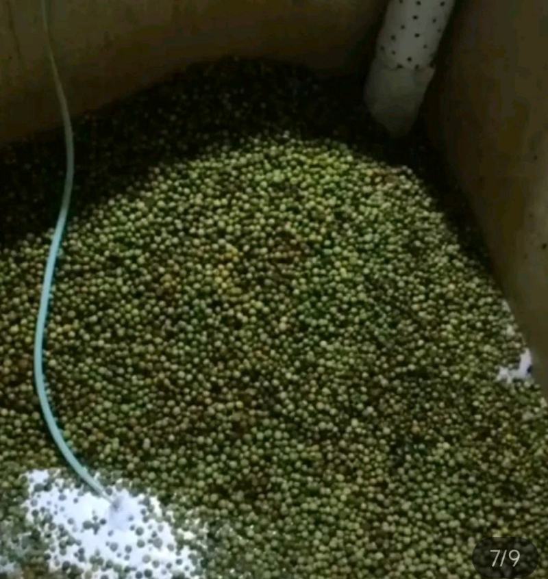 福建诏安富硒青梅，干湿梅，腌制青梅，青梅粉，青梅酱，果汁