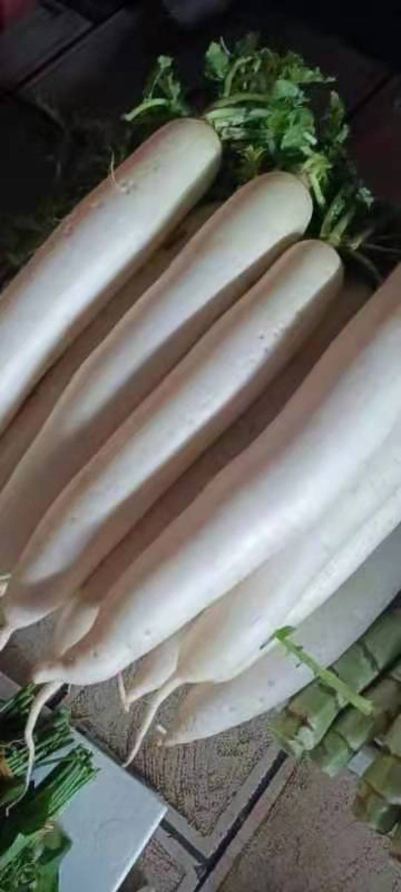 白萝卜