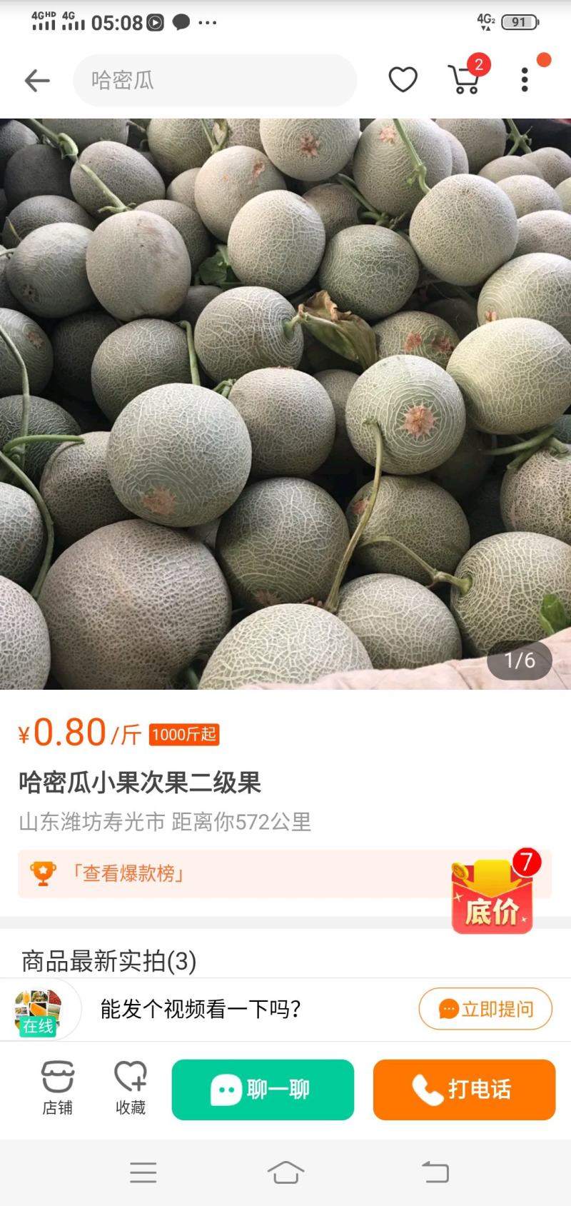 新疆哈密瓜田都大味香醇