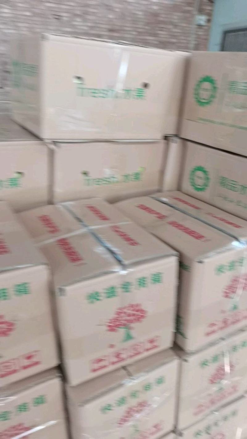 山西万亩阳丰脆柿子巧克力柿子现摘现吃现发脆甜可口一件代发