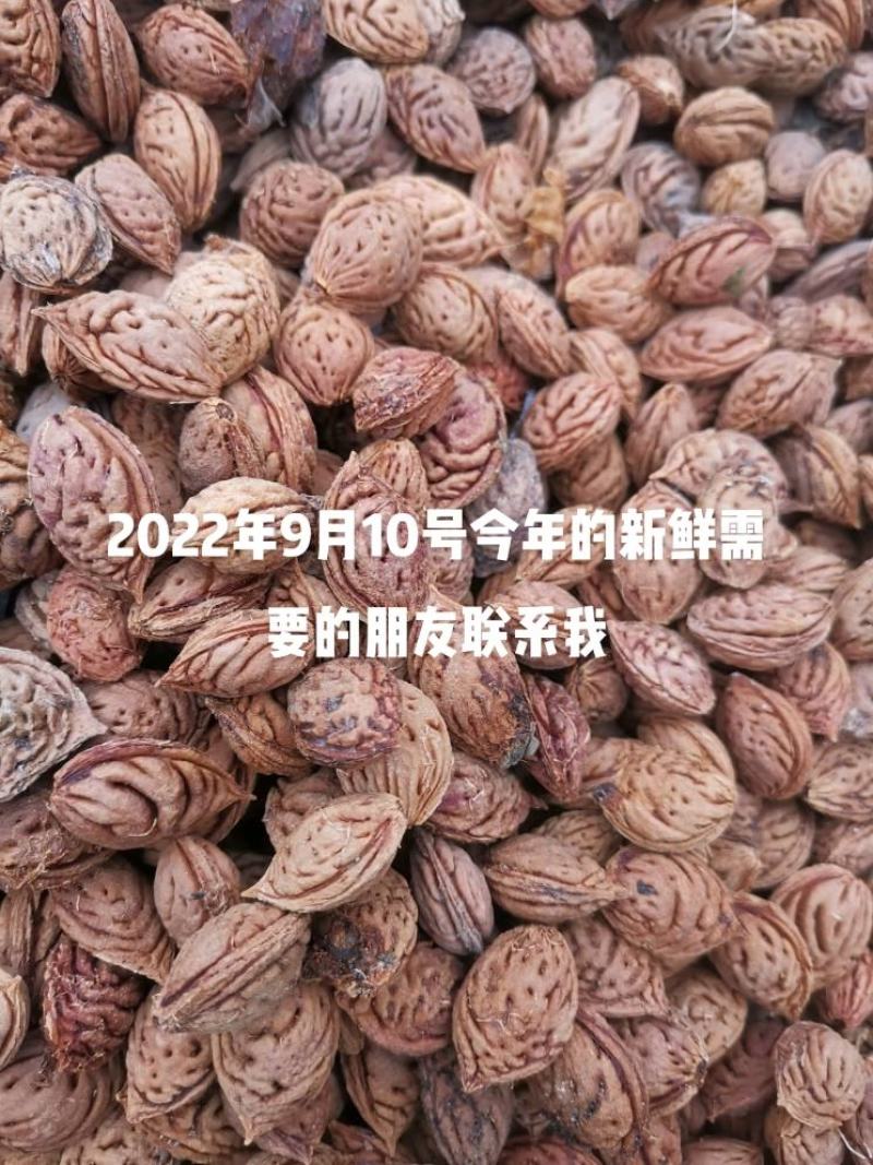 新鲜桃胡大量上市。需要种植的客户抓紧联系，前来冾谈
