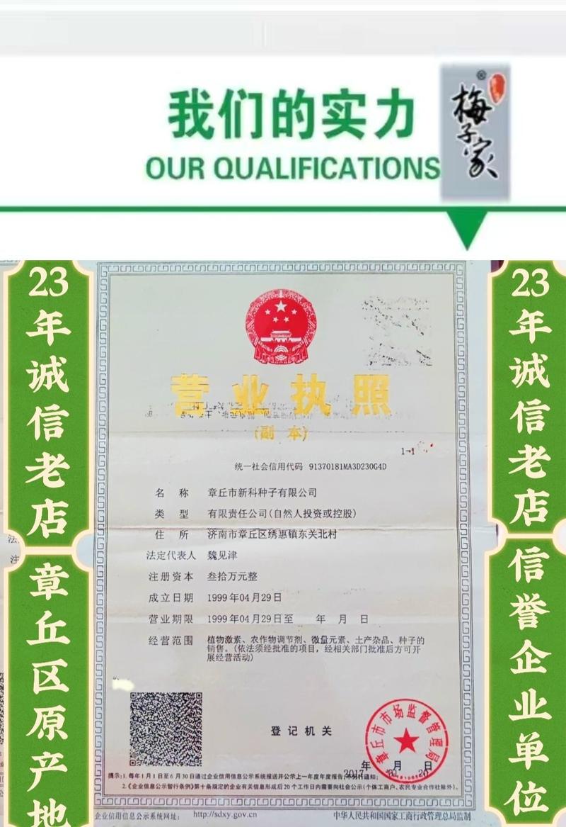 推荐日本钢葱（纯铁杆）保证质量，厂家栽培技术指导