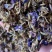 野生葛花有着千杯不醉的名字可以泡茶名字解酒茶2025新货