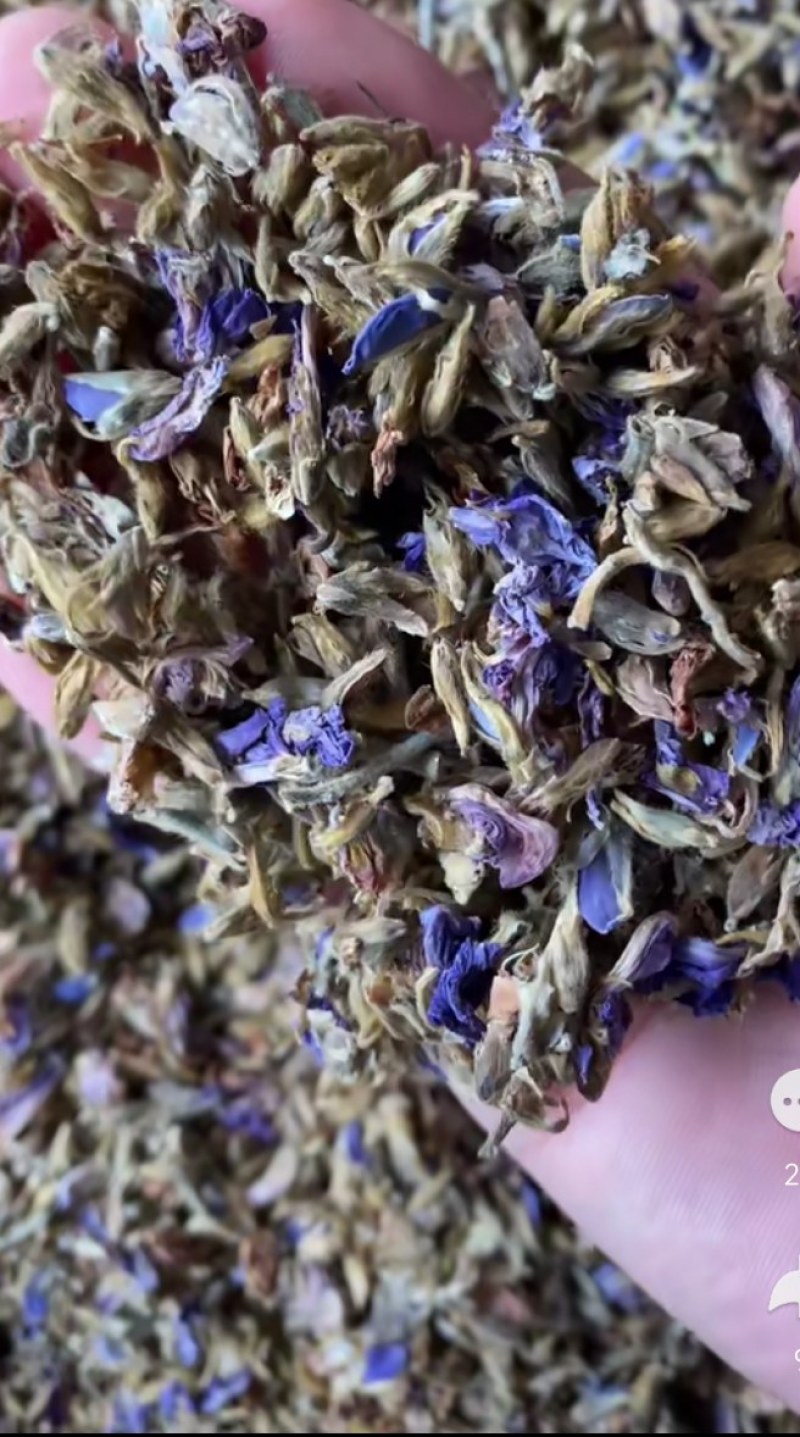 野生葛花有着千杯不醉的名字可以泡茶名字解酒茶2025新货
