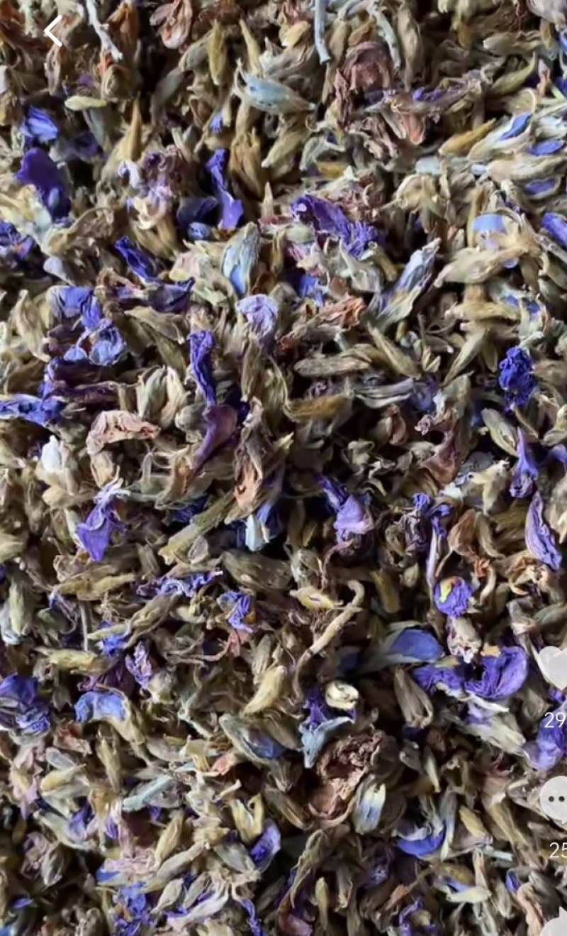 野生葛花有着千杯不醉的名字可以泡茶名字解酒茶2025新货
