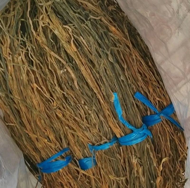 干豆角，种值50亩，产地直发，质量保证，欢迎采购