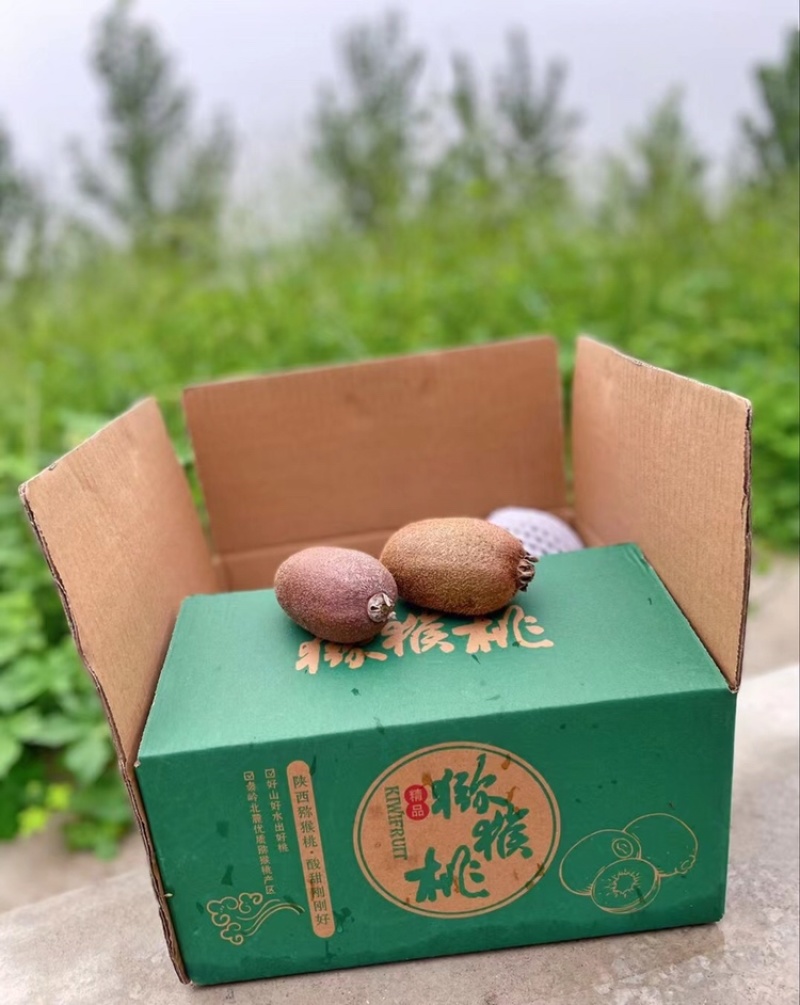 【一件代发】翠香猕猴桃，活动价：25元