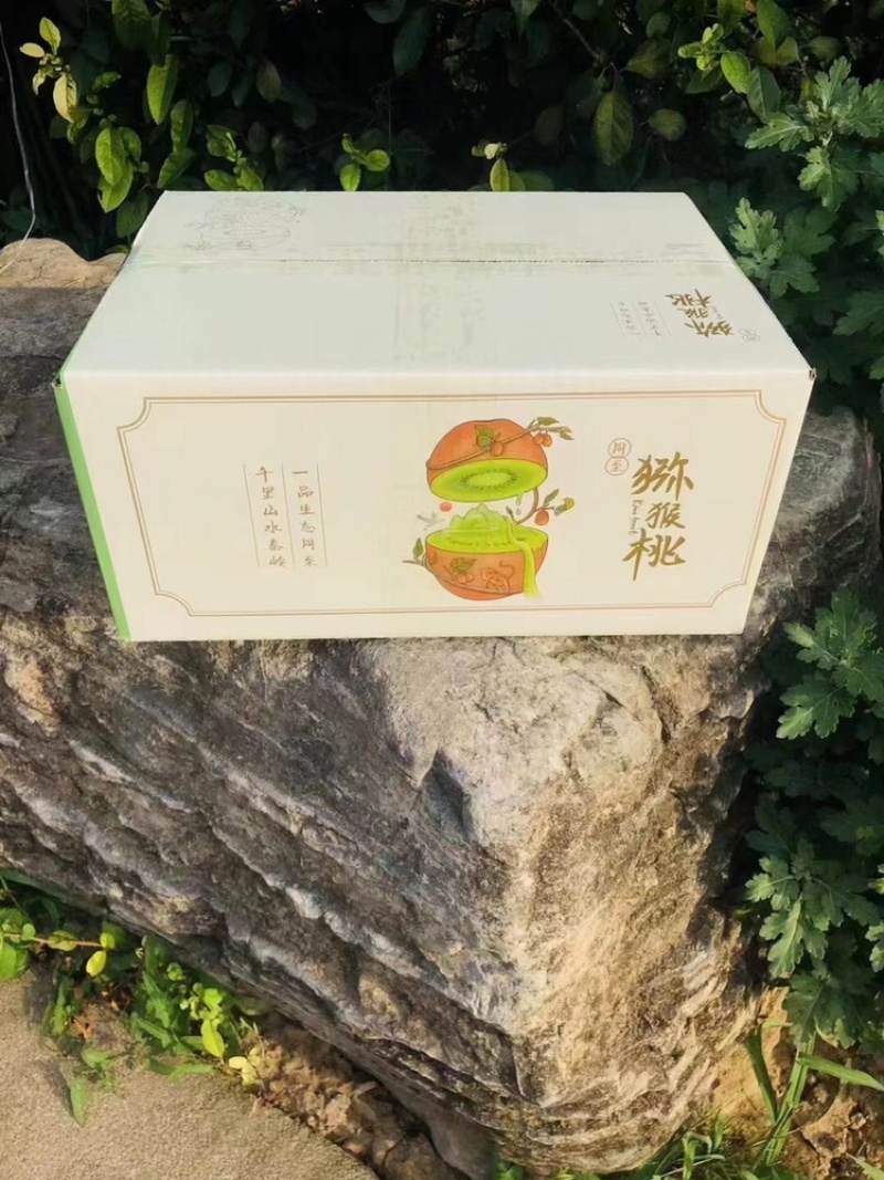 【一件代发】翠香猕猴桃，活动价：25元