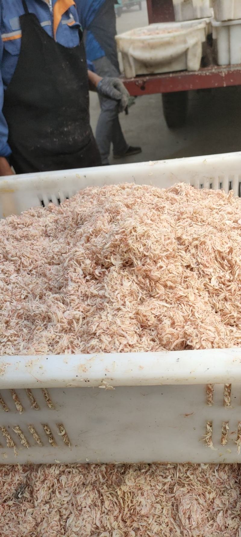 虾皮，盐干小虾皮，当地产，一手货源，低价销售，供应量大。
