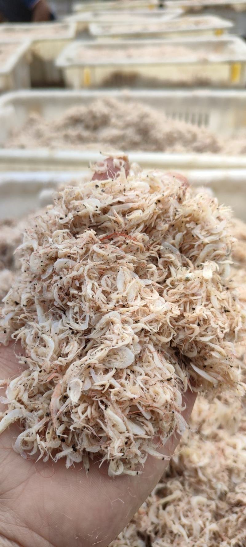 虾皮，盐干小虾皮，当地产，一手货源，低价销售，供应量大。