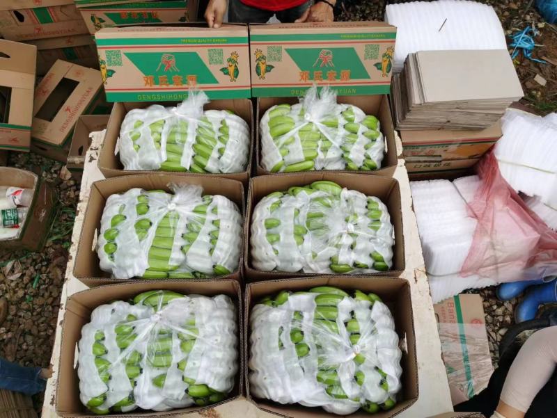 香蕉，广西香蕉皮毛漂亮干净，索道配套设施齐全