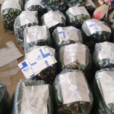 电商货每天发车，需要的联系我，保证质量
