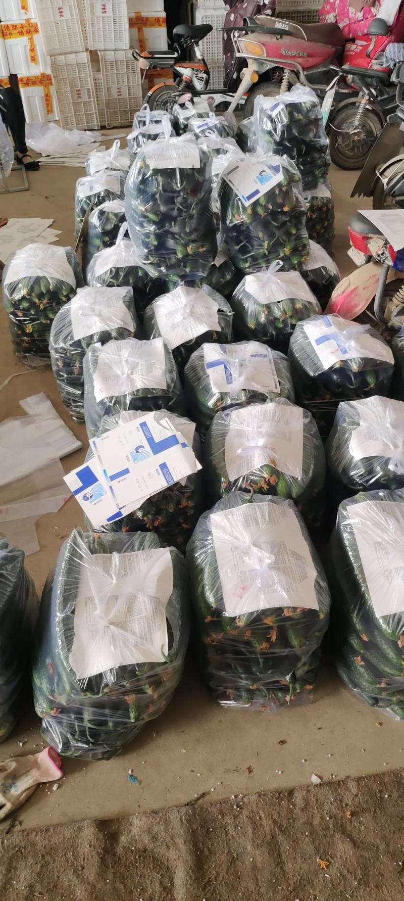 电商货每天发车，需要的联系我，保证质量