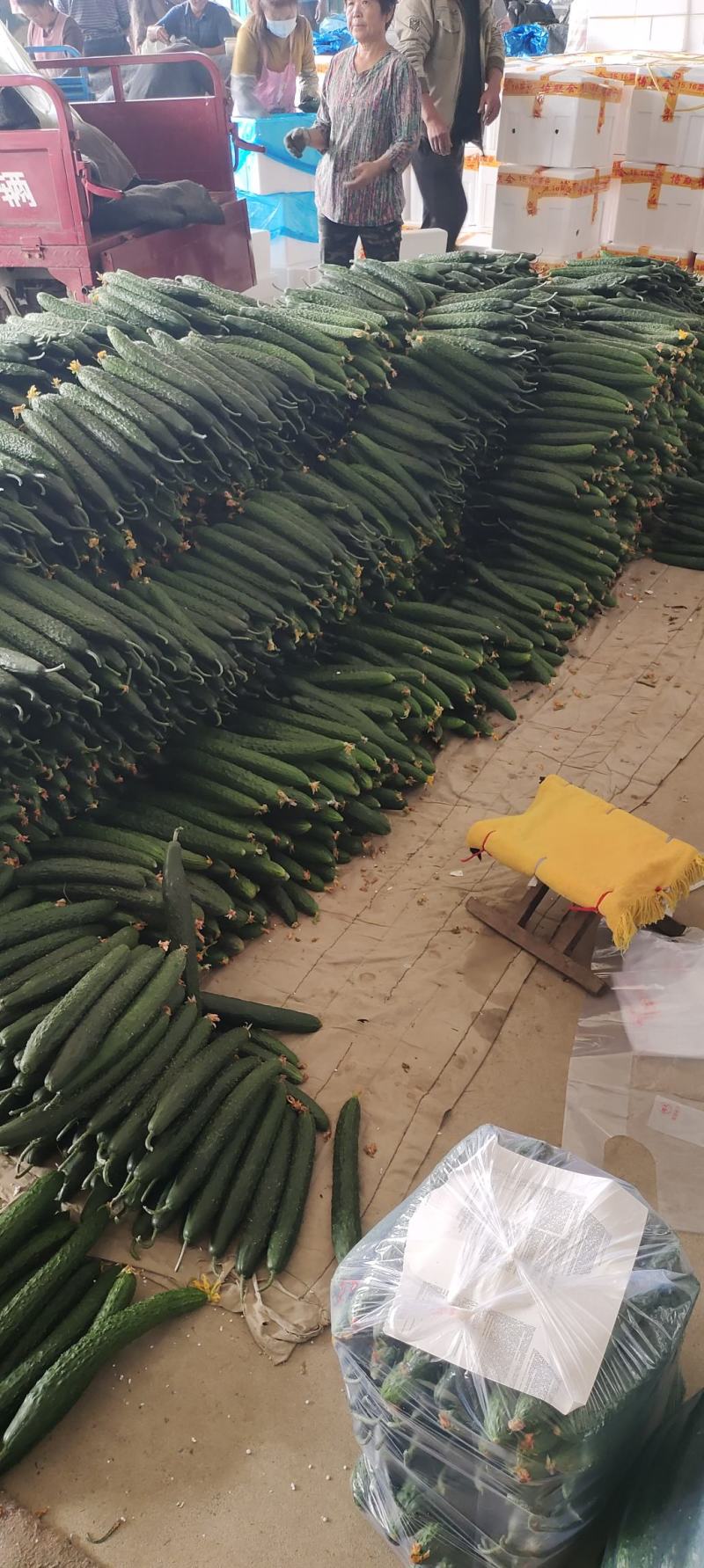 电商货每天发车，需要的联系我，保证质量