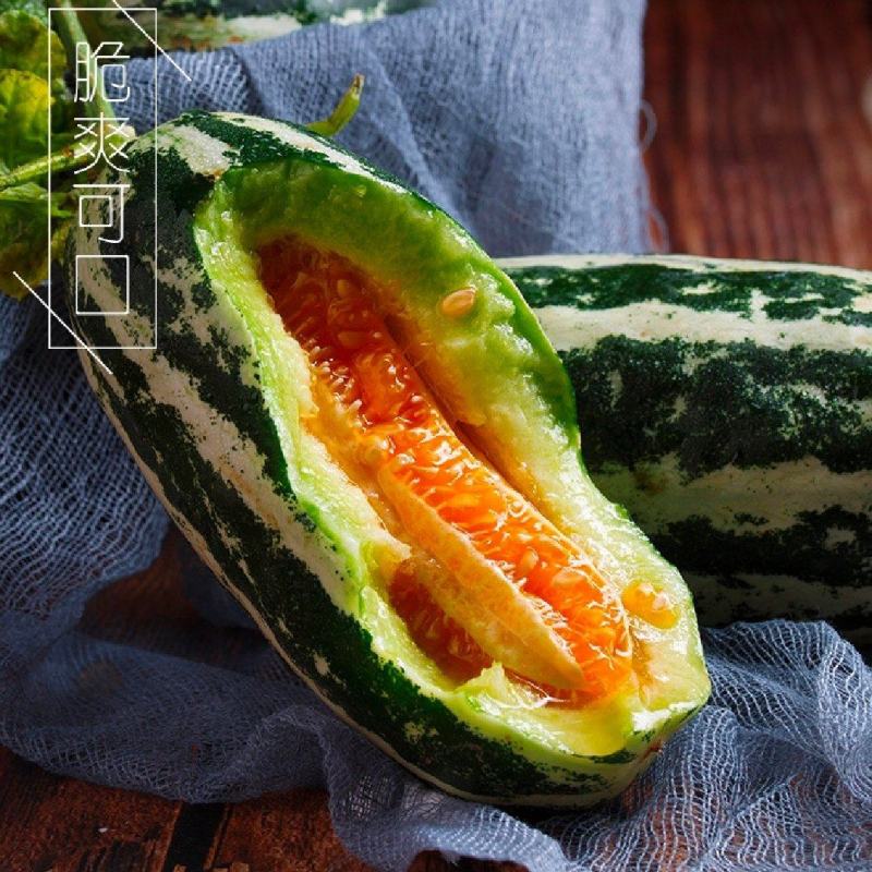 精品博洋九号，九一甜瓜大量供应，产地直发现摘现装一手货源