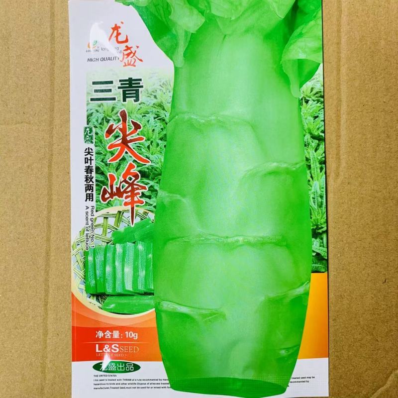 三青尖峰莴笋种子绿肉尖叶农家青笋耐寒春秋高产嫩脆莴苣种子