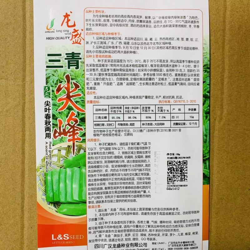 三青尖峰莴笋种子绿肉尖叶农家青笋耐寒春秋高产嫩脆莴苣种子