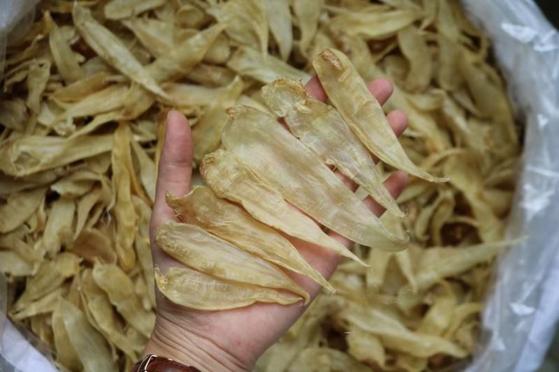 250头豆仁胶公鱼胶花胶长条公肚头数标准