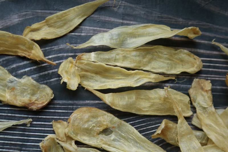 250头豆仁胶公鱼胶花胶长条公肚头数标准