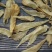 250头豆仁胶公鱼胶花胶长条公肚头数标准
