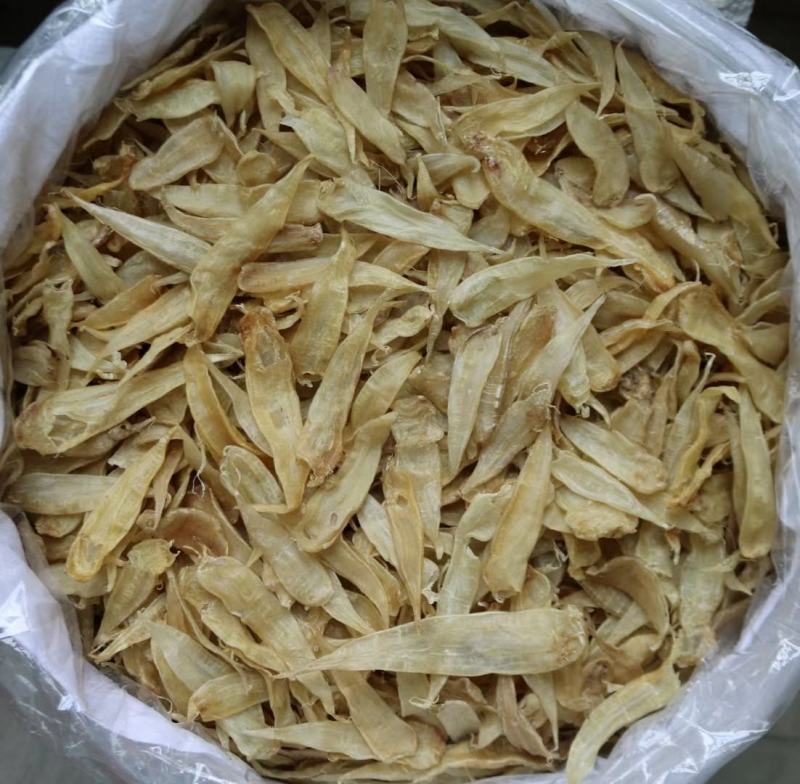250头豆仁胶公鱼胶花胶长条公肚头数标准