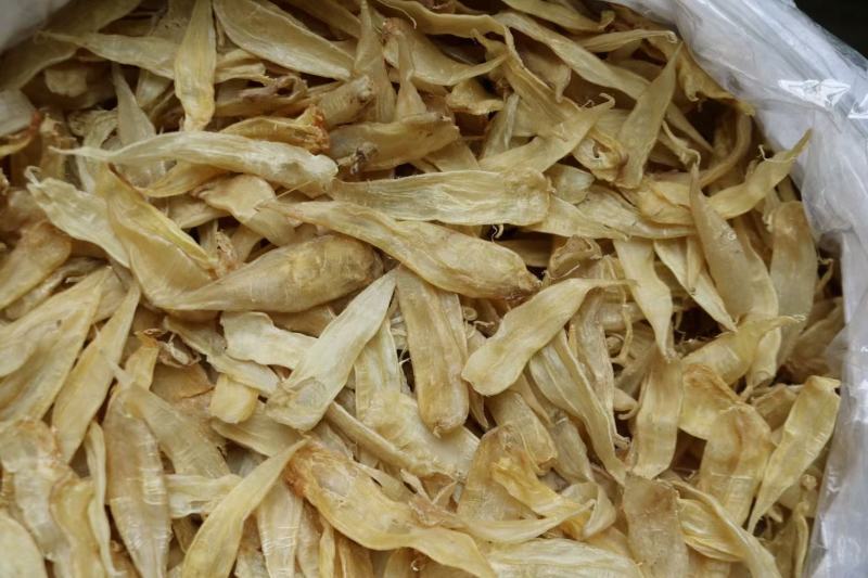 250头豆仁胶公鱼胶花胶长条公肚头数标准